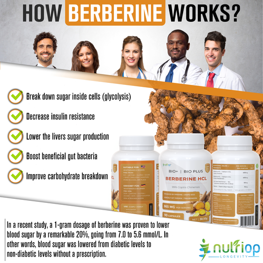 Nutriop Longevity® Bio-Enhanced Berberine HCL with Pure Organic Piperine and Grape Seed Extract - 865mg per serving (x45)-1